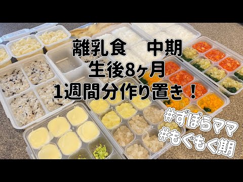 ＃8[生後8ヶ月]離乳食中期1週間分ストック作り！もぐもぐ期。