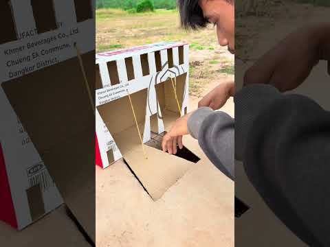 Best Unique Underground Quail Trap Using Cardboard Box #shortvideo