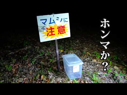 この看板の周りを調べたらとんでもなかった