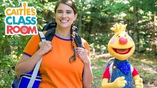 Tobee Goes Camping | A Caitie and Tobee Adventure | Camping for Kids