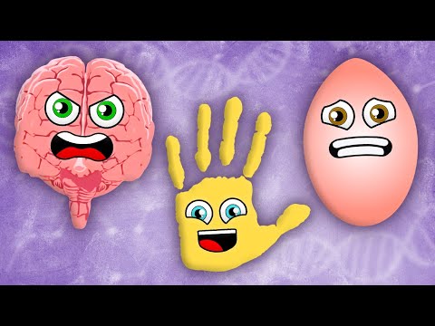 How Do You Feel? | KLT Anatomy