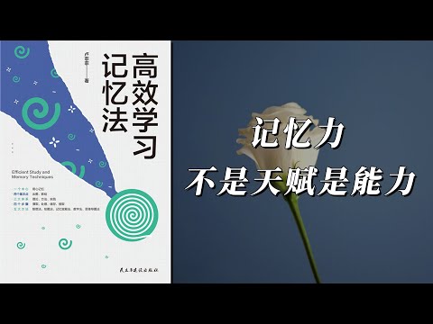 《高效学习记忆法》世界记忆大师的记忆密码，揭秘记忆的“道、法、术”。