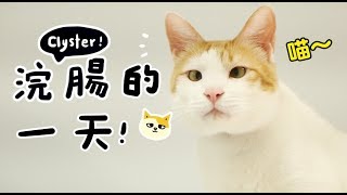 【黃阿瑪的後宮生活】浣腸的一天！