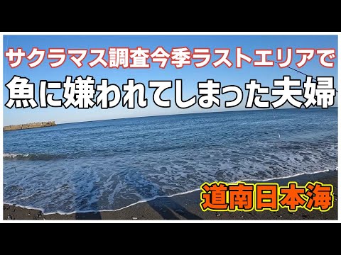 【北海道サーフ2023】道南日本海：サクラマス調査を兼ねて通ったエリア今季ラストチャレンジで魚に嫌われてしまった夫婦の回！