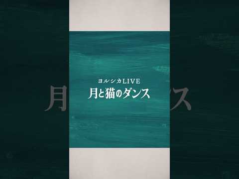 ヨルシカLIVE 「月と猫のダンス」 ✨2024.9.18 発売✨