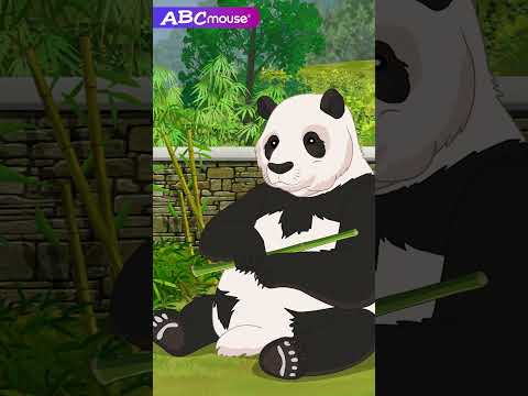 Pandas | Wolong Panda Reserve | ABCmouse #learning #education #animals #panda #pandas