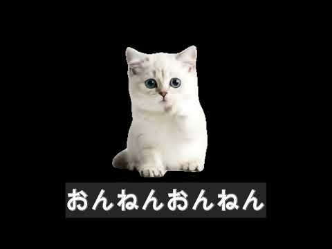 250307【AI Music】自作の詩でAIがどんな曲を創るか【Udio】ねこがおんねん Whispers of Innocence #aicat #ai猫