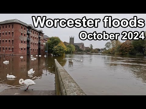 River Severn floods Worcester AGAIN! ...October 2024 - Canal under water!