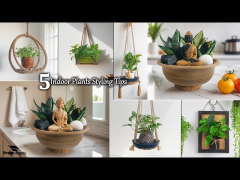 Breathe Life Into Your Home with These 5 Easy Indoor Plant Styling Tips | Plant Ideas//GREEN PLANTS