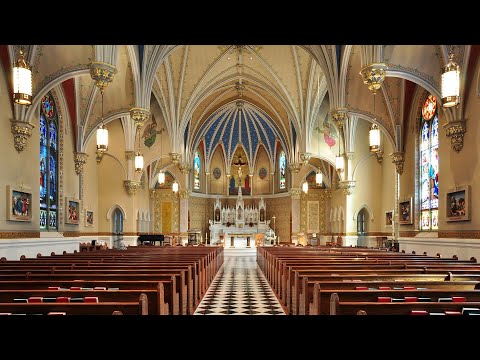 Catholic Organ Playlist 8 | Non Stop Organ Sounds, Catholic Meditation, Prayer, 4 Organ Pieces