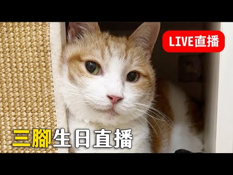 「直播中」三腳16歲生日！