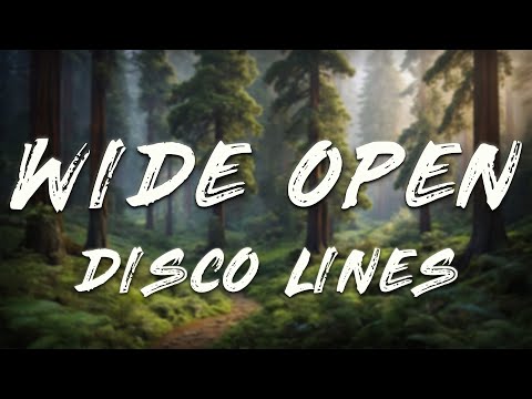 Disco Lines & No/Me - Wide Open (Acoustic Version) [Lyrics]