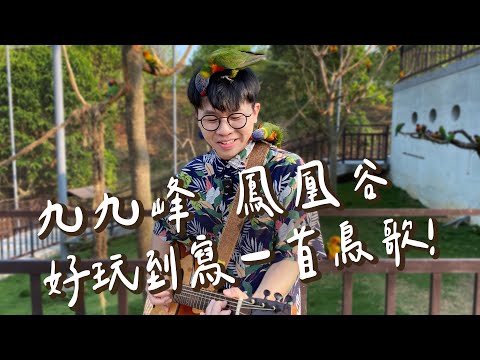 【南投】2大鳥園一次蒐集，親子旅遊必玩景點！九九峰動物樂園～新開幕亞洲最大鳥園，小鸚鵡近距離互動+餵食體驗；鳳凰谷鳥園生態園區，銅板價CP值高～還有森林步道、瀑布吊橋｜1000步的繽紛台灣 Ep443