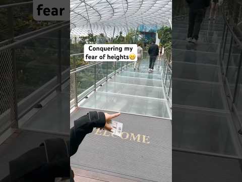 CONQUERING MY FEAR OF HEIGHTS @ CANOPY BRIDGE Changi Airport #shorts #shortvideo #hangingbridge #wow