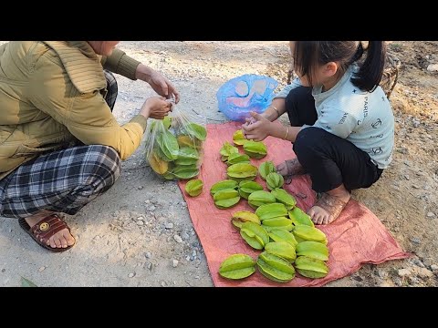 Poor girl, go into the forest to get sour star fruit, go to sell, buy pots and kettles to boil