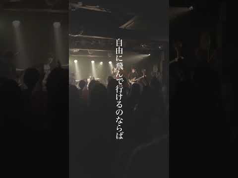 『パッと咲いて』/ シズクノメ (original song)