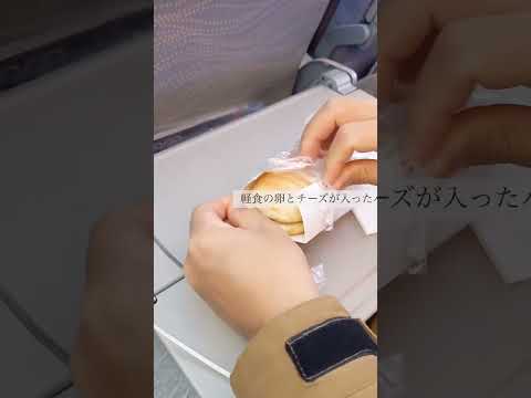 エミレーツ航空の機内食まとめ！美味しくておなかいっぱい♪#shorts