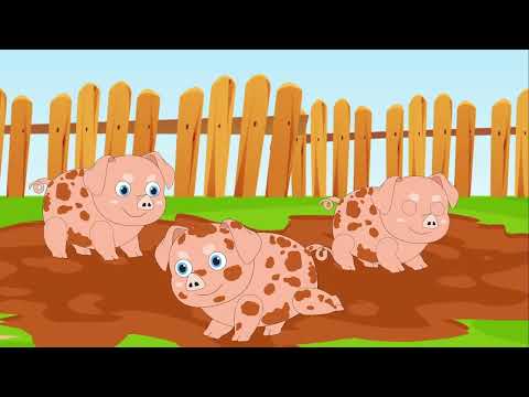 Five Little Pigs Counting Song for Children, Babies, Toddlers, Kids by Patty Shukla Learn Counting