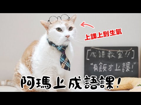 【黃阿瑪的後宮生活】阿瑪上成語課！上課上到生氣！