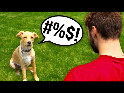 Cussing Dog Prank