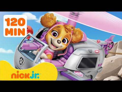 PAW Patrol Air Rescue Adventures! 🚁  120 Minutes | Nick Jr.