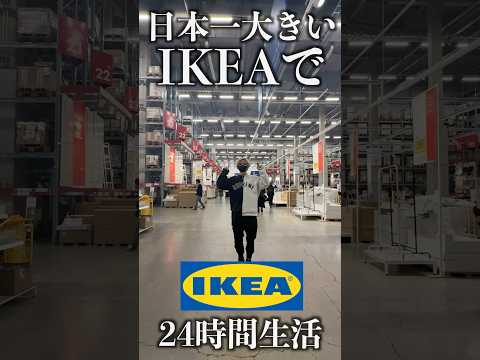 日本一大きいIKEAで24時間生活してみた！好きなだけ食べ放題！買い放題！#shorts