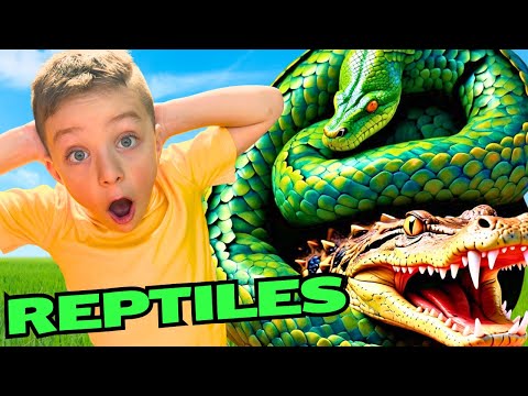 Learn All About Reptiles 🐊 Amazing Encounter with Reptiles 🐍 Educational Videos for Kids