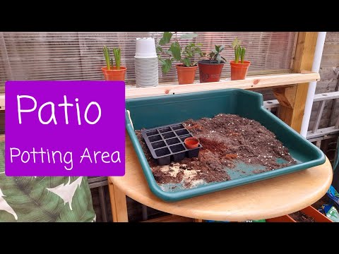 Patio Potting Area - no more potting up on the floor!