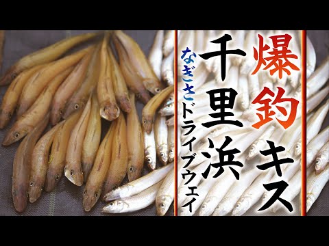 【キス釣り】爆釣！のっこみ！千里浜なぎさドライブウェイ！！