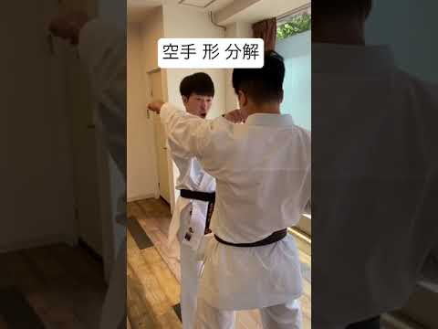 【形 分解】形分解で人を倒してみた。#shorts #karate #kata