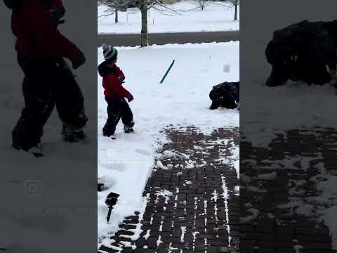 Winter Wonderland #bostonwinter #snowfun #snowballfight