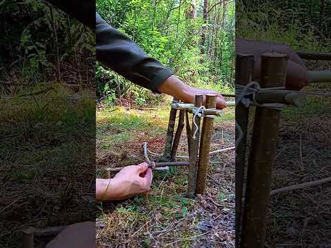 A TRAP FOR SURVIVAL IN THE FOREST #survival #trap #bushcraft