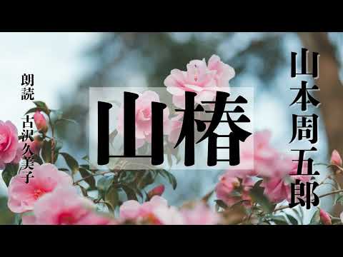 【朗読】山本周五郎「山椿」