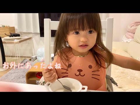 ブラックベリーを収穫して食べたよ（2歳4ヶ月）