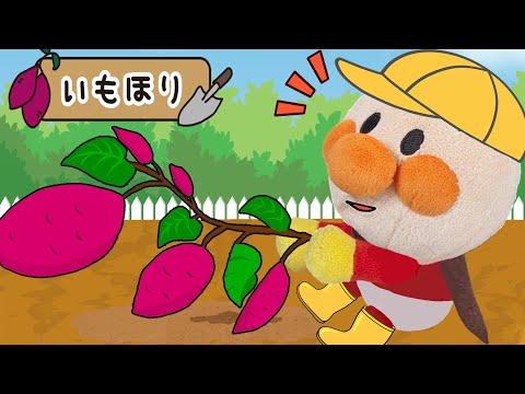 お芋ほりに挑戦！さつまいもを食べよう！秋の美味しい食べ物！アンパンマンアニメ　anpanman animation