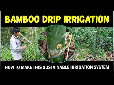 Bamboo Drip Irrigation System