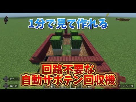 【マイクラ超初心者講座】超便利で回路も使わないサボテン回収機は初心者は絶対に作るべき