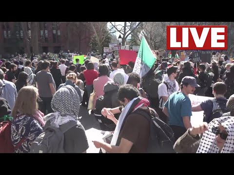 NYC protests continue over Mahmoud Khalil's arrest and detention