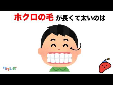 【雑学】誰かに言いたくなる雑学まとめ