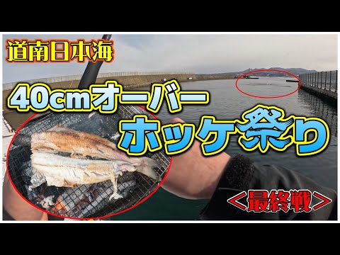 【北海道サーフ2024】道南日本海(上ノ国方面)：腹パンホッケのナブラ撃ち！＜2月下旬釣行・お時間がある時にでもご視聴ください😅＞