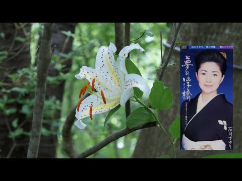 夢の浮橋  石川さゆり