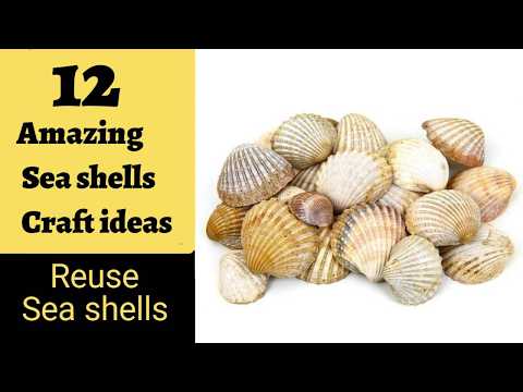 12 Amazing Sea Shell Craft Ideas | Make fun things with Sea shells | Craft Stack