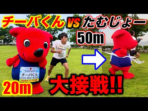 【大接戦】千葉県マスコットキャラのチーバくんとガチ対決！最後にイベント情報もご紹介！#千葉県 #アクアライン #マラソン