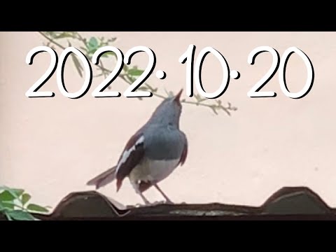 2022年10月20日