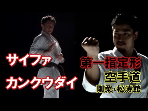 第一指定形 サイファ カンクウダイ観空大 剛柔・松涛館編 空手道形教範 karatedo kata JKF JKA