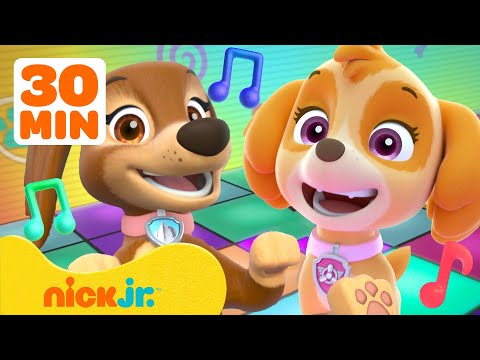 PAW Patrol Skye's Music Party! w/ Liberty #4 🐾💃 30 Minutes | Nick Jr. Music