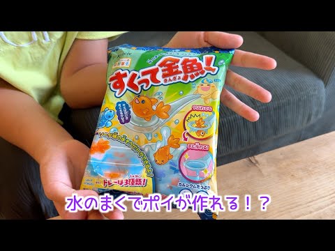 お家で食べられる金魚すくい！【すくって金魚！】