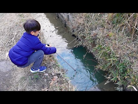 いくらでも魚が捕れる穴