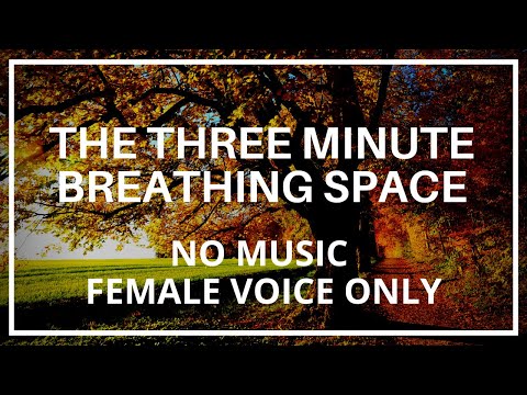 Three Minute Breathing Space Mindfulness Meditation (Mindfulness Based Cognitive Therapy)