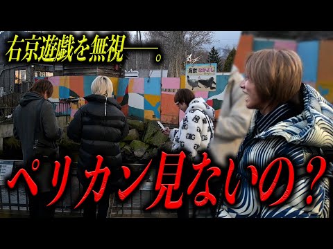 【サブチャン】2泊3日の北海道旅行で右京遊戯の愛しの動物発見!?しかしVALHALLAの幹部たちは見向きもしなかった──。